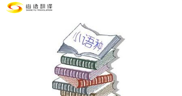 如何才能做好小語種翻譯工作？