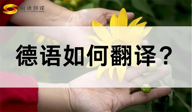 德語如何翻譯？如何選擇合適的德語翻譯公司？尚語翻譯德語翻譯的優勢